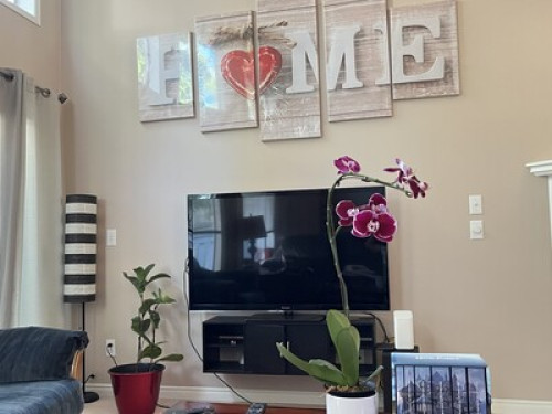 Cozy and Calgary Center