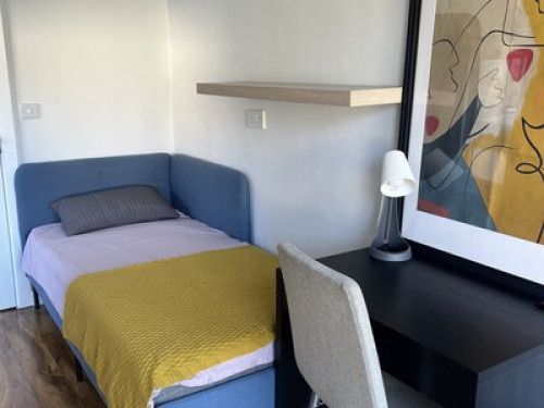 Comfy new single room in town
