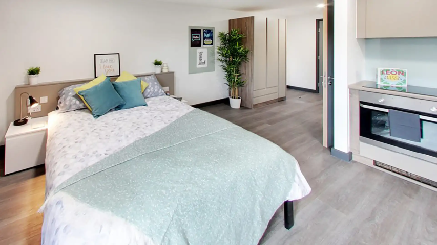  Superior Plus Studio  -  Sycamore House  - Gallery -  1