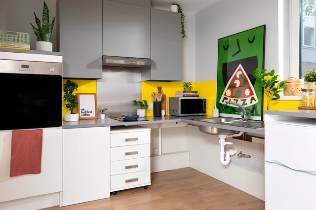  Double Wheelchair Accessible Studio  -  East Central House Unite  - Gallery -  2
