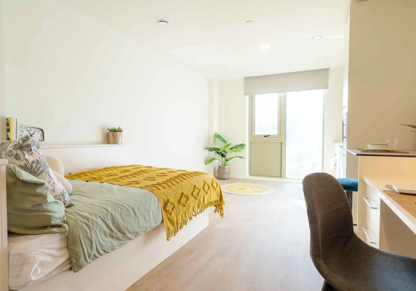  Gold Studio Plus Deluxe  -  Longwood Place  - Gallery -  1