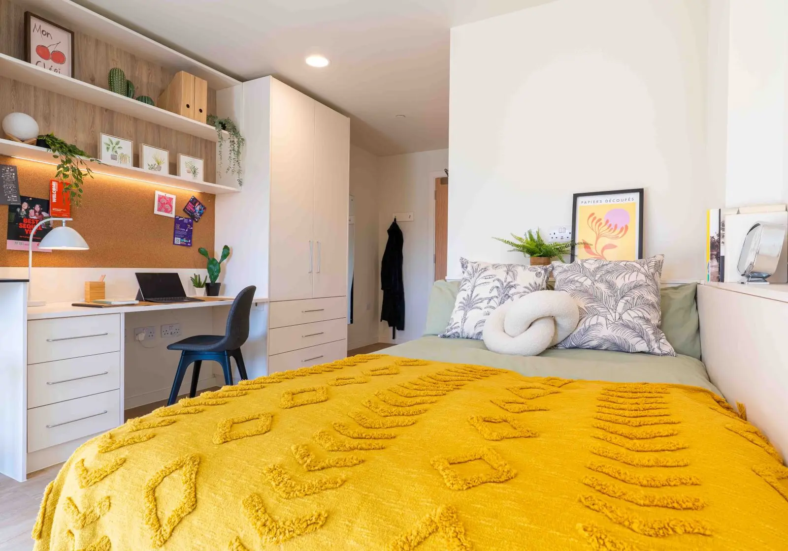  Gold Studio Plus Deluxe  -  Longwood Place  - Gallery -  1