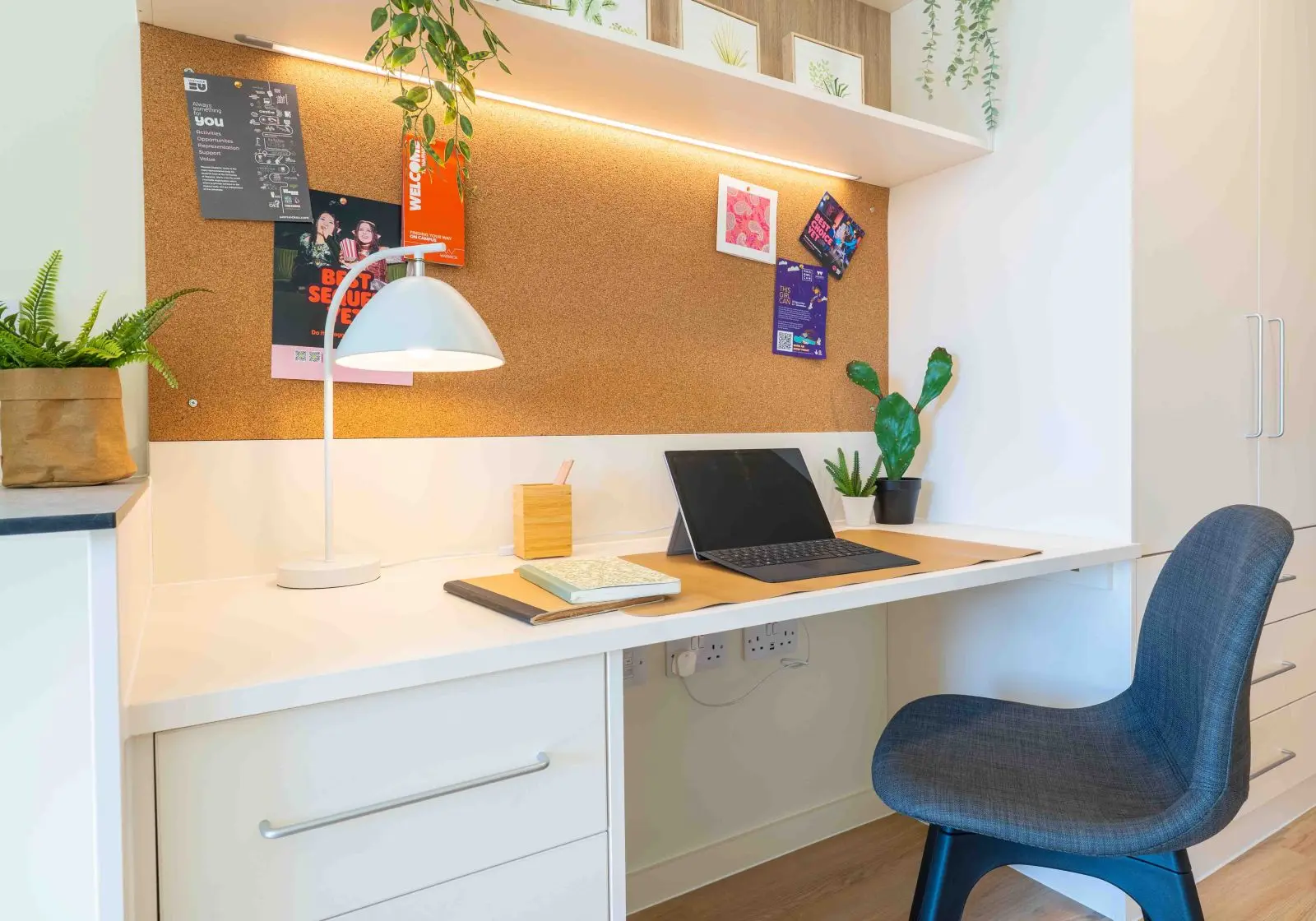  Gold Studio Plus Deluxe  -  Longwood Place  - Gallery -  2