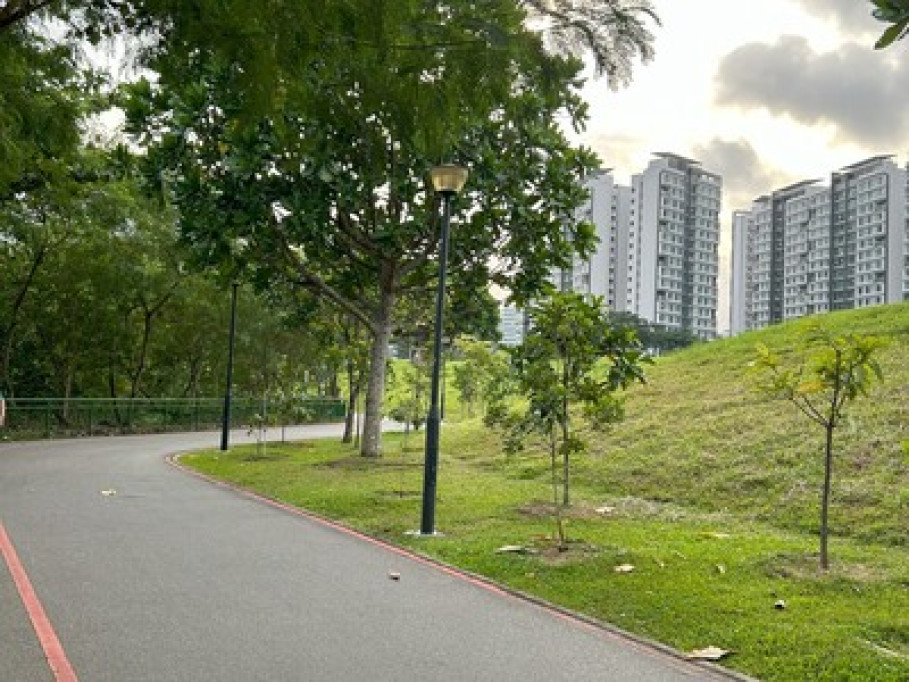 Gd Location for homestay in S'pore