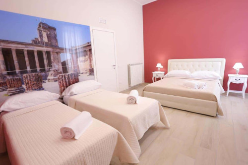 Stanza con bagno privato Via Sacra 11