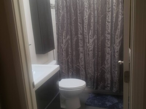 SUBLET FOR NOV IN OAKLAND - Gallery - 10
