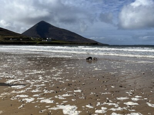 Croagh Patrick View  - Gallery -  5