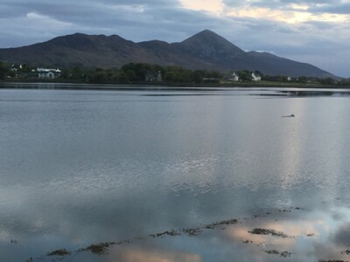 Croagh Patrick View - Gallery - 16