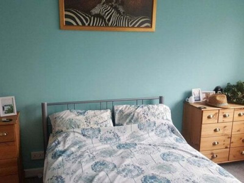 Peaceful, clean and well situated  - Gallery - 5