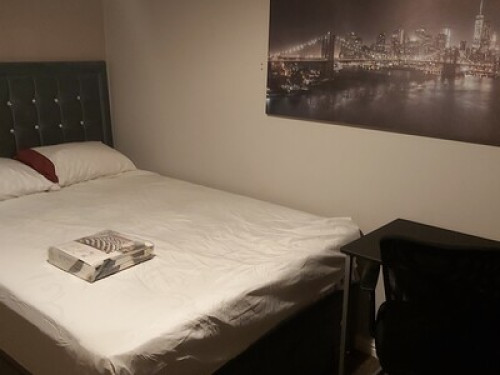 Room for Rent - Gallery - 13