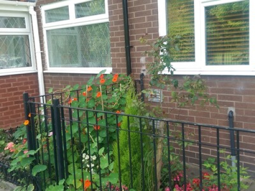 friendlycouple-near-city-centre-manchester-26635013720240923050443AM
