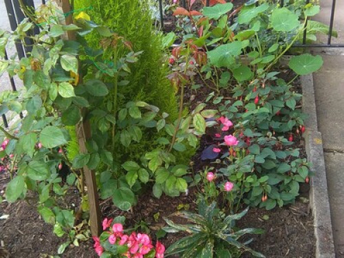 friendlycouple-near-city-centre-manchester-68183756220240923050441AM