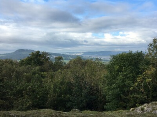 Superb Estuary & Mountain View  - Gallery - 14