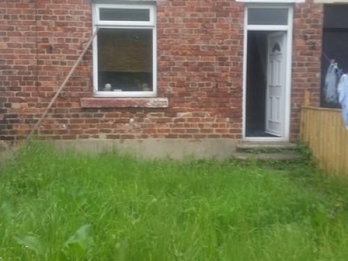 Room to let