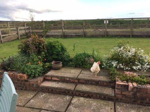 share-our-home-in-the-country-glasgow-132551952520240923051502AM