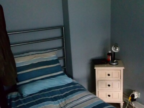 new-flat-mate-glasgow-176345582920240923051521AM