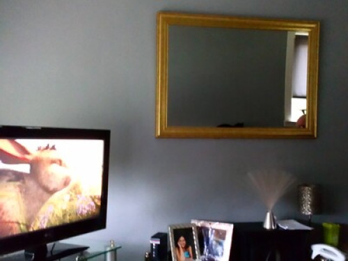 new-flat-mate-glasgow-74544185120240923051520AM