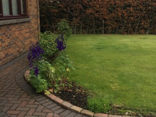 nice-cosy-house-home-from-home-edinburgh-202436996620240923051807AM