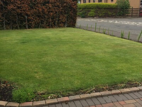 nice-cosy-house-home-from-home-edinburgh-66604679620240923051819AM