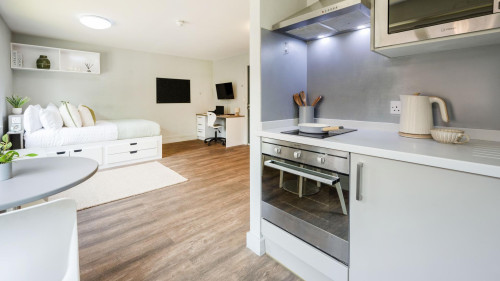 Halsmere Studios - Gallery - 12