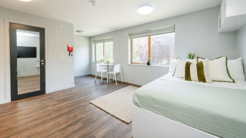 Halsmere Studios - Gallery - 27