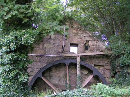 magical-lamorna-plymouth-36526254220240930043628AM