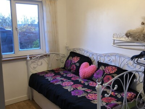 Cherrytree - Gallery - 11