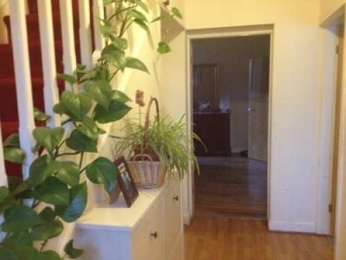 Happy Family  In Central Manchester  - Gallery -  5