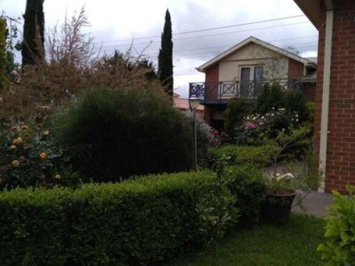Super Conveniently Located House  - Gallery -  5