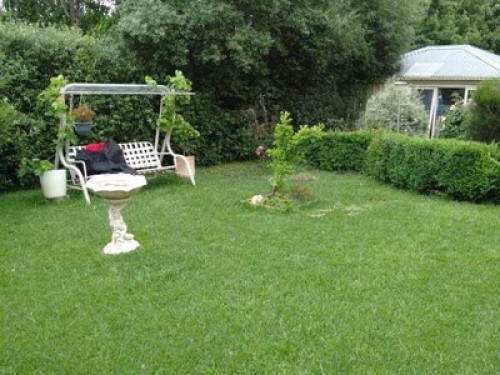 Super Conveniently Located House