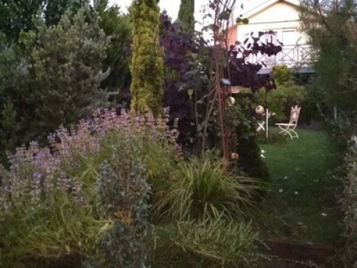 Super Conveniently Located House