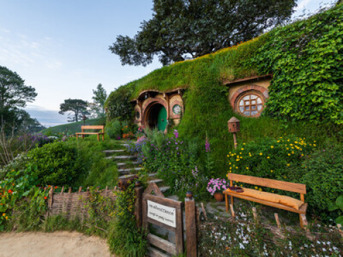 Feather Hills Farmstay  - Gallery -  5