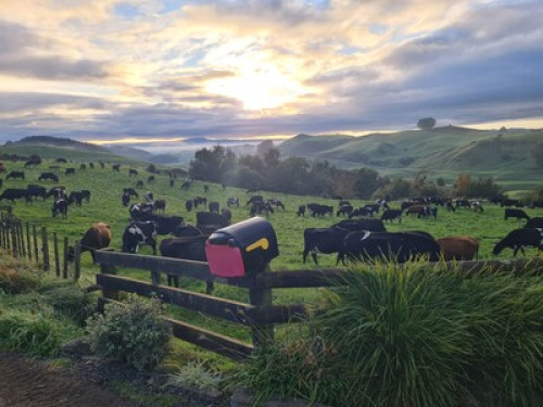 Feather Hills Farmstay