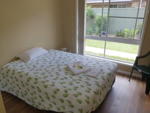 Sunflower at Sunrise