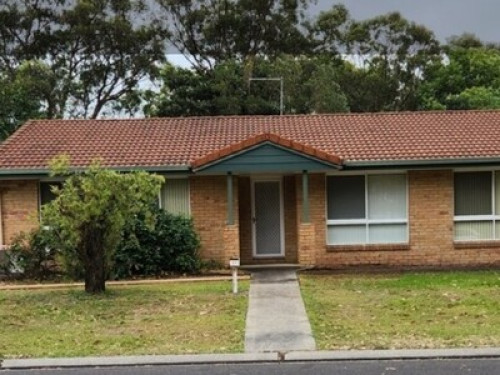 Sunflower at Sunrise