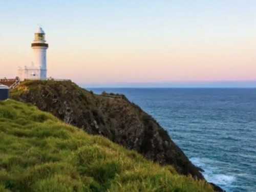 Sunflower at Sunrise