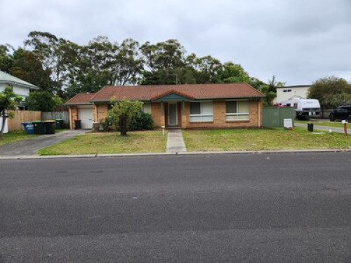 Sunflower at Sunrise
