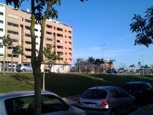 Divertidos y alegres en Málaga