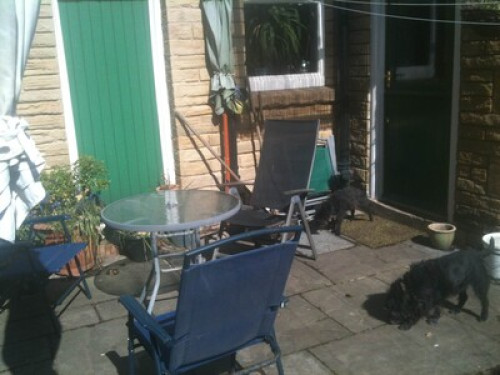 friendly-walking-cycling-bloke-sheffield-25031277020241001052050AM