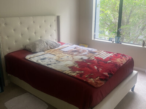 Cozy Room in Downtown Burbank!  - Gallery -  5