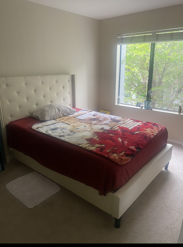 Cozy Room!(Full Room) - 1