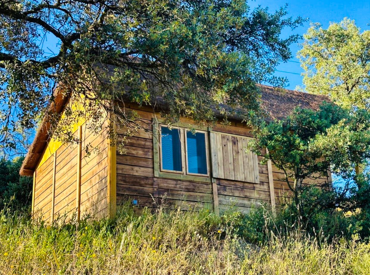  Cabin With 1 Queen Bed  -  Nuño Gómez Residence  - Gallery -  9