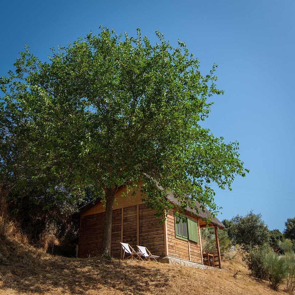  Cabin With 2 Single Beds  -  Nuño Gómez Residence  - Gallery -  37