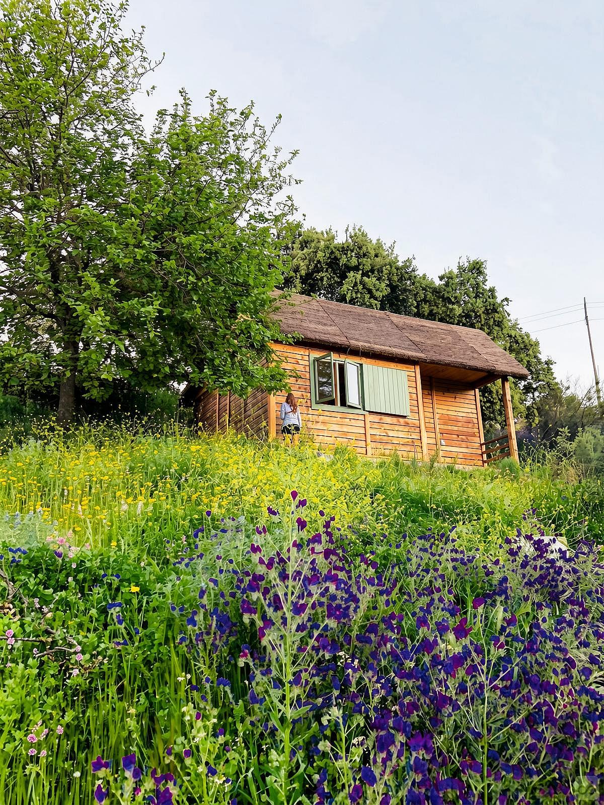  Cabin With 2 Single Beds  -  Nuño Gómez Residence  - Gallery -  44