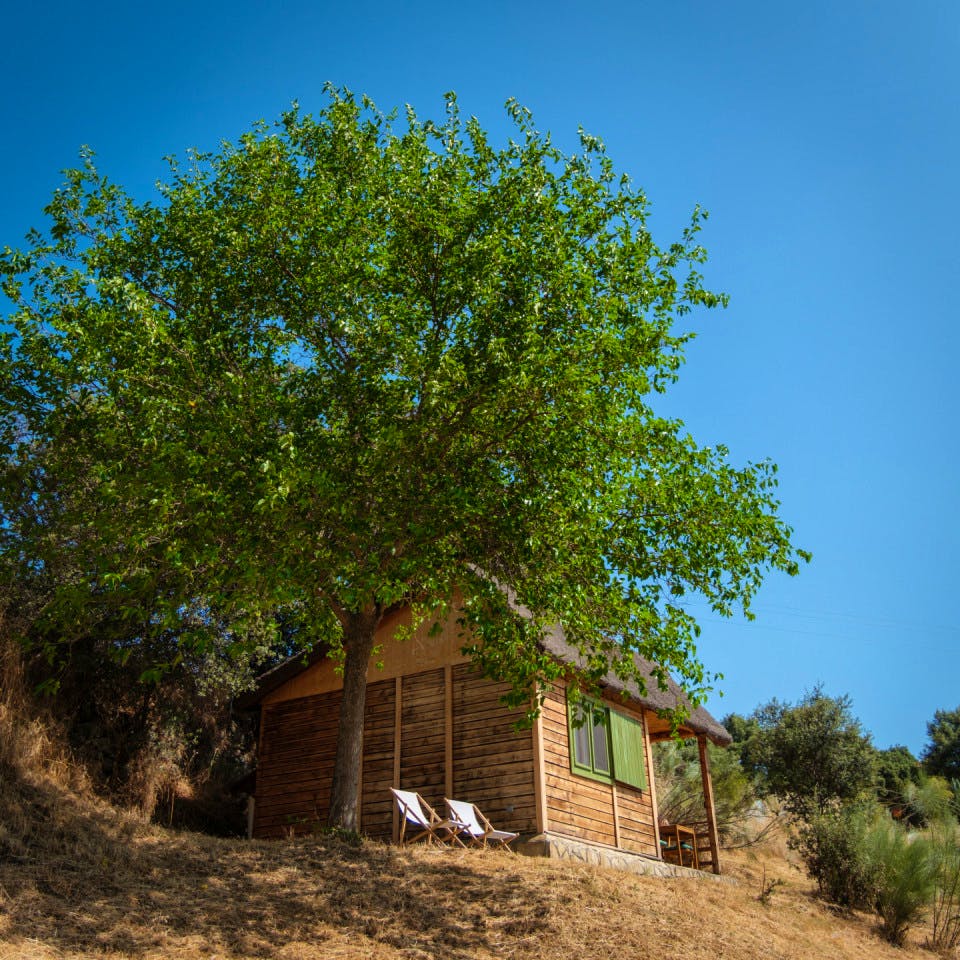  Cabin With 2 Single Beds  -  Nuño Gómez Residence  - Gallery -  15