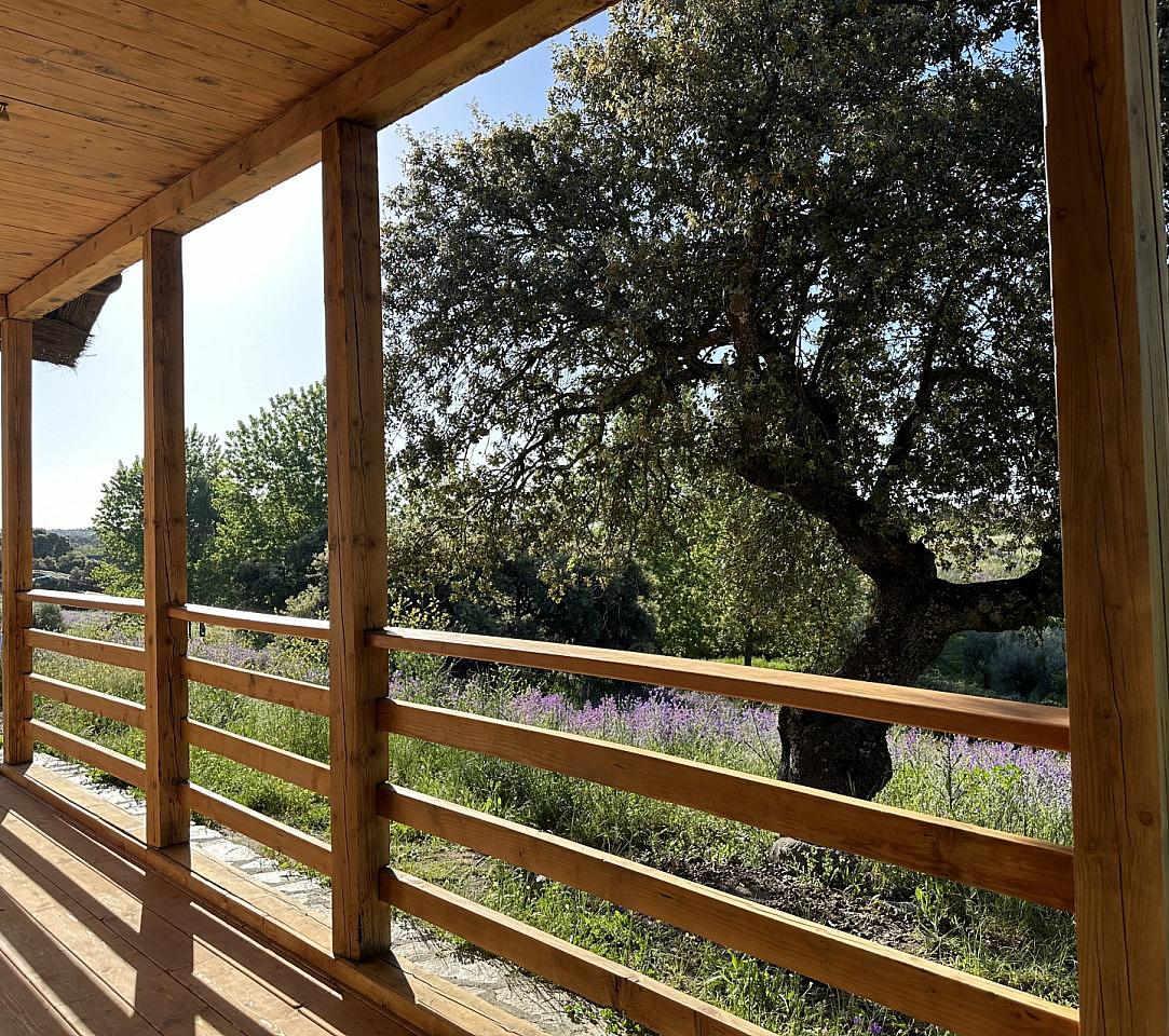 Cabin With 1 Queen Bed And 2 Single Beds  -  Nuño Gómez Residence  - Gallery -  86
