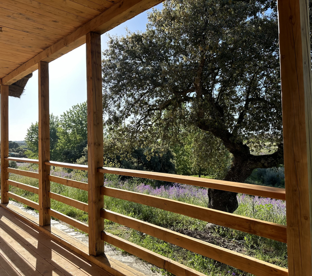  Cabin With 1 Queen Bed And 2 Single Beds  -  Nuño Gómez Residence  - Gallery -  41