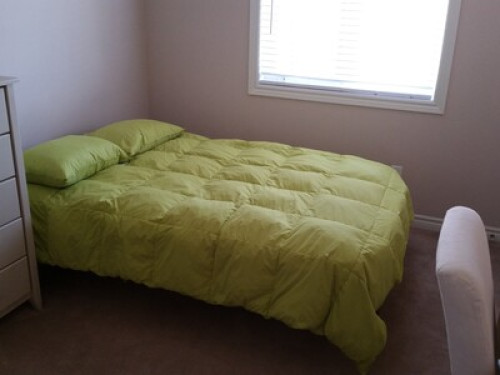 Homestay Greenboro  - Gallery -  5