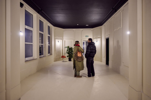 Schelde - Gallery - 41