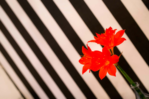 Aldamiz Mendiaren Kalea